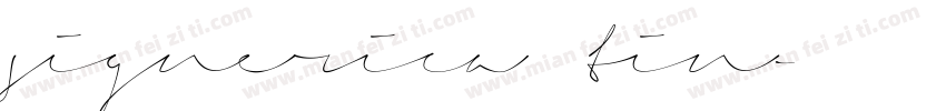 signerica tin字体转换